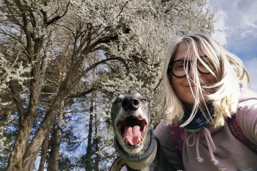 Gala4Dogs – brend za pse nastao zbog jedne Gale