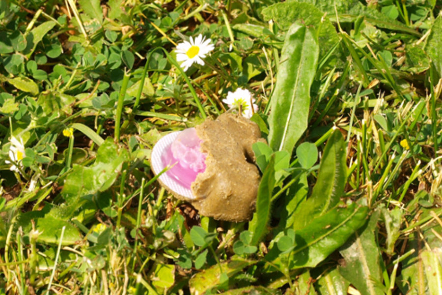 mamci za lisice 02