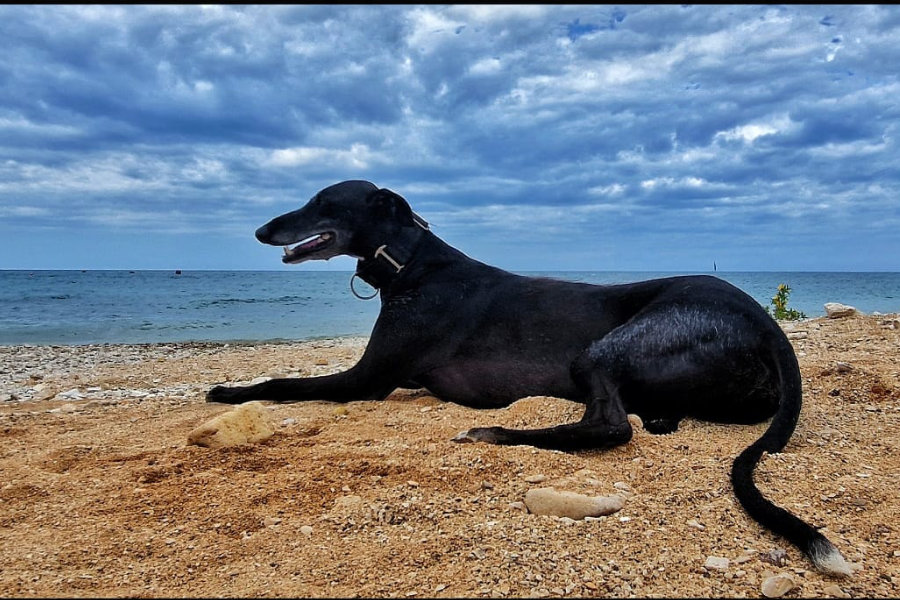 najbolje plaže kosinski 01