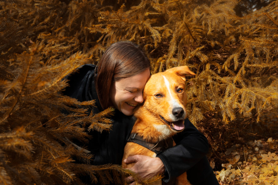 pet friendly app 01