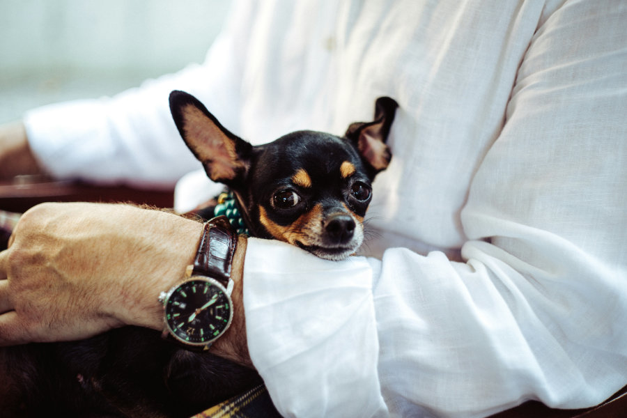 zimsko računanje 01 unsplash