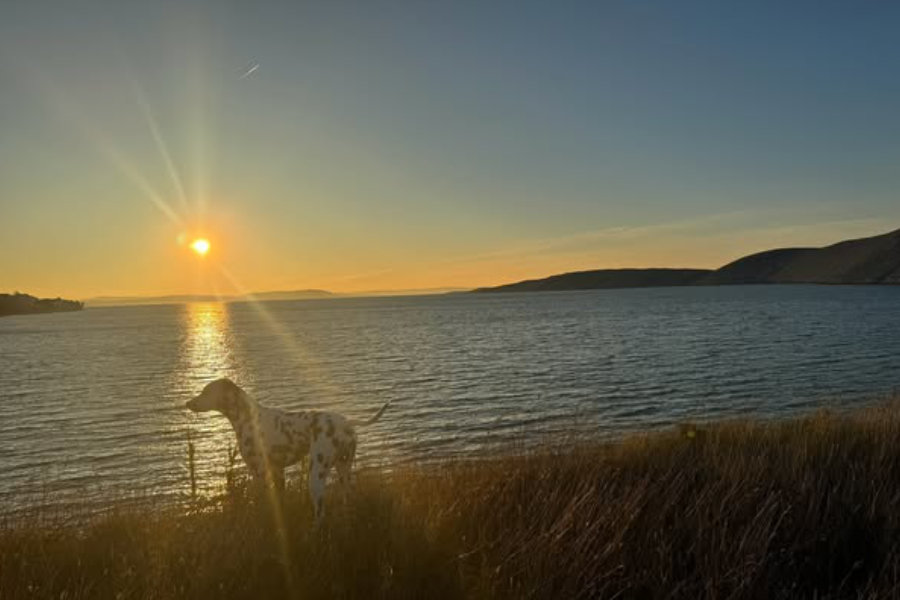 otok Pag Pago predstava 01