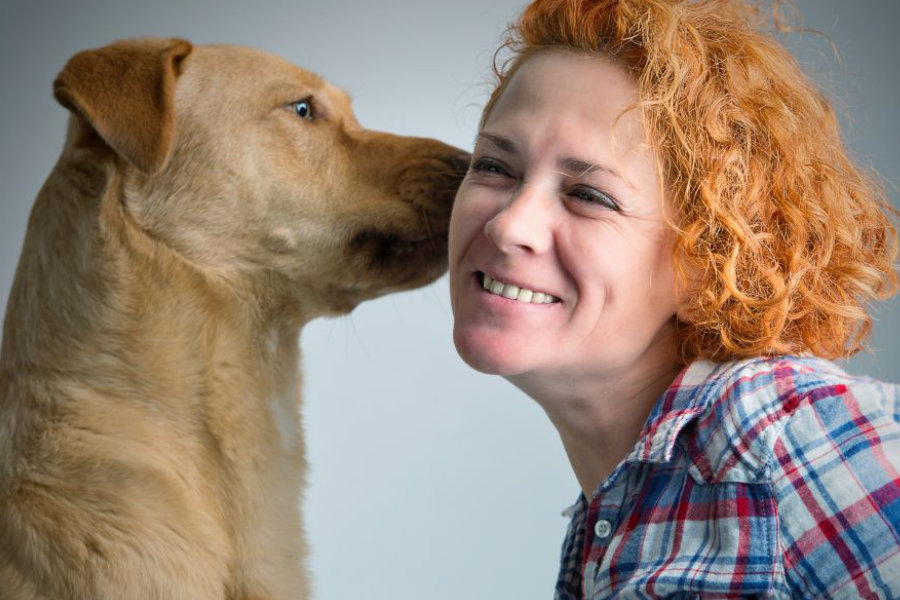 Šaptač tajni – što bi nam naš pas rekao da može?