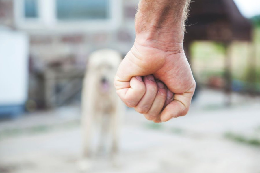 Zlostavljači pasa: Motivi i ponašanje nasilnika