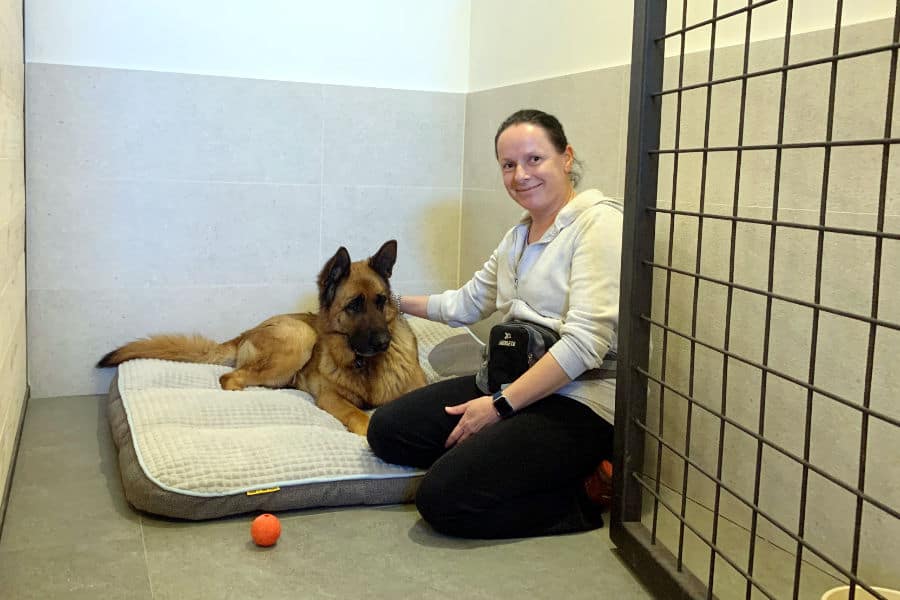 Happy Tails učionica Novi korak u razumijevanju pseće prirode